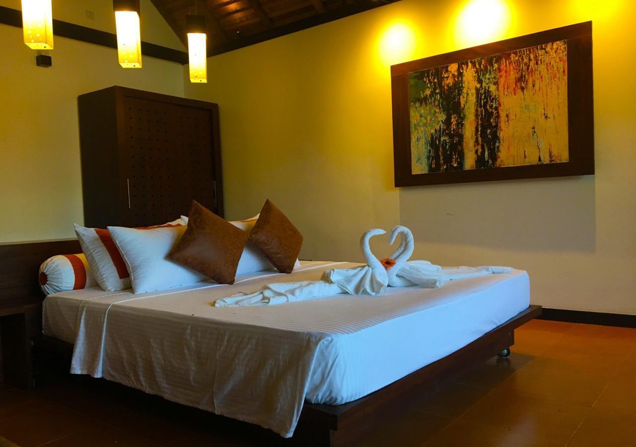 Blue Whale Resort & Kite Surfing Kalpitiya Exterior photo