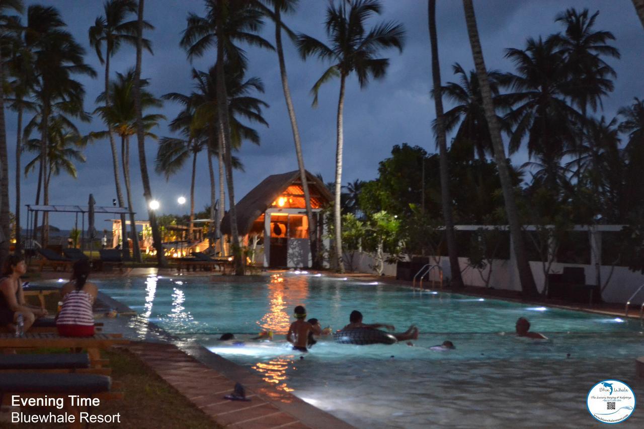 Blue Whale Resort & Kite Surfing Kalpitiya Exterior photo